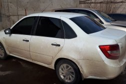 Тонировка Гранты